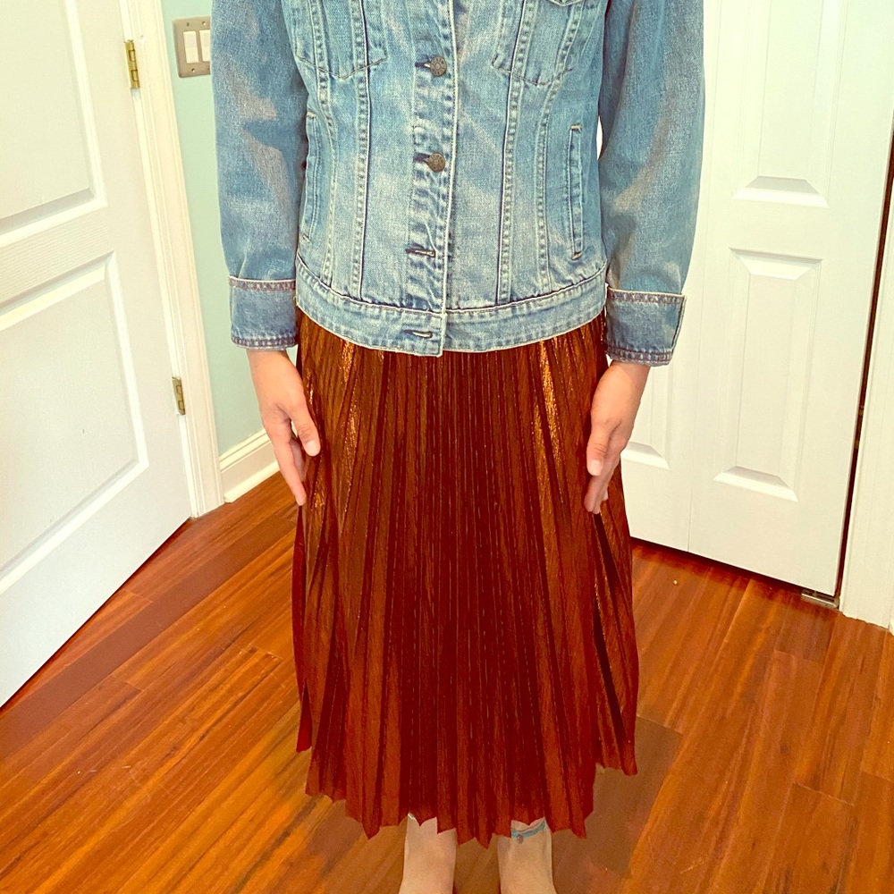 Pleated metallic skirt